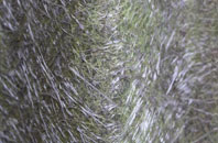 Prestonpans fibreglass roof work